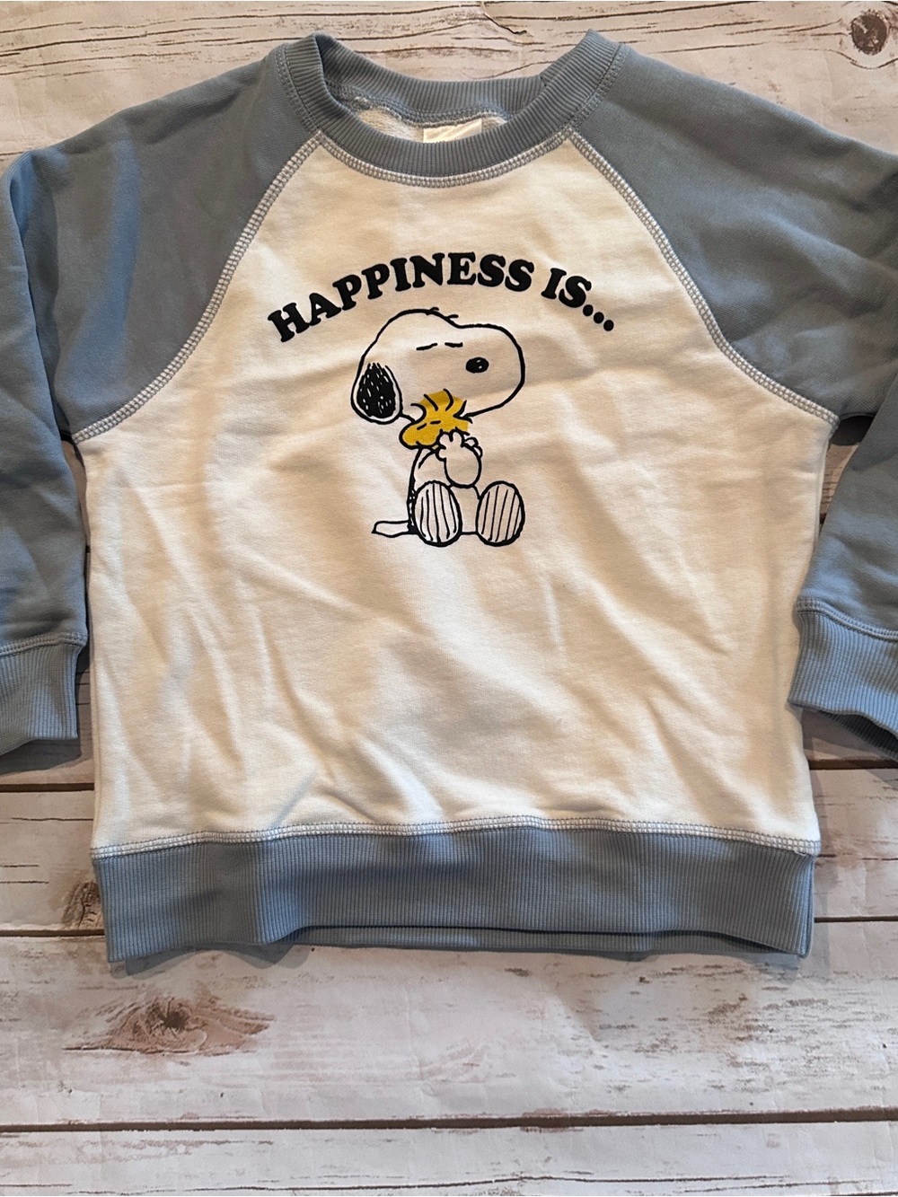 Hanna Andersson Snoopy sweatshirt